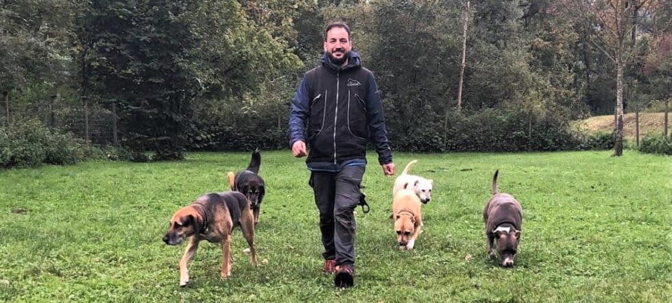 Jobs | Vorarlberger Tierschutzheim