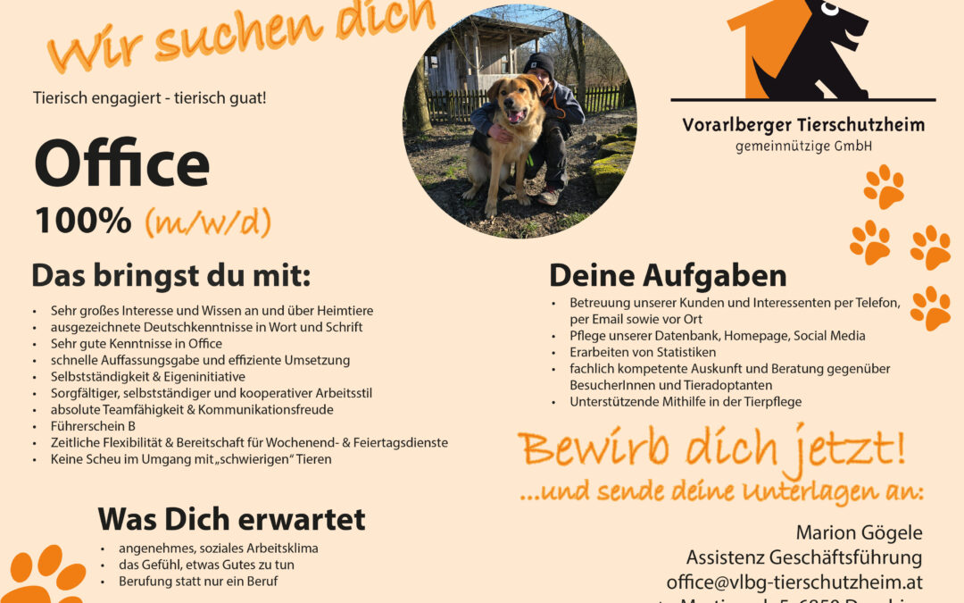 Wir suchen dich! Bewirb dich jetzt!
