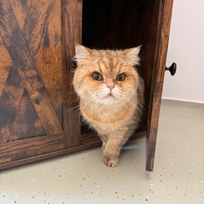 Kurt